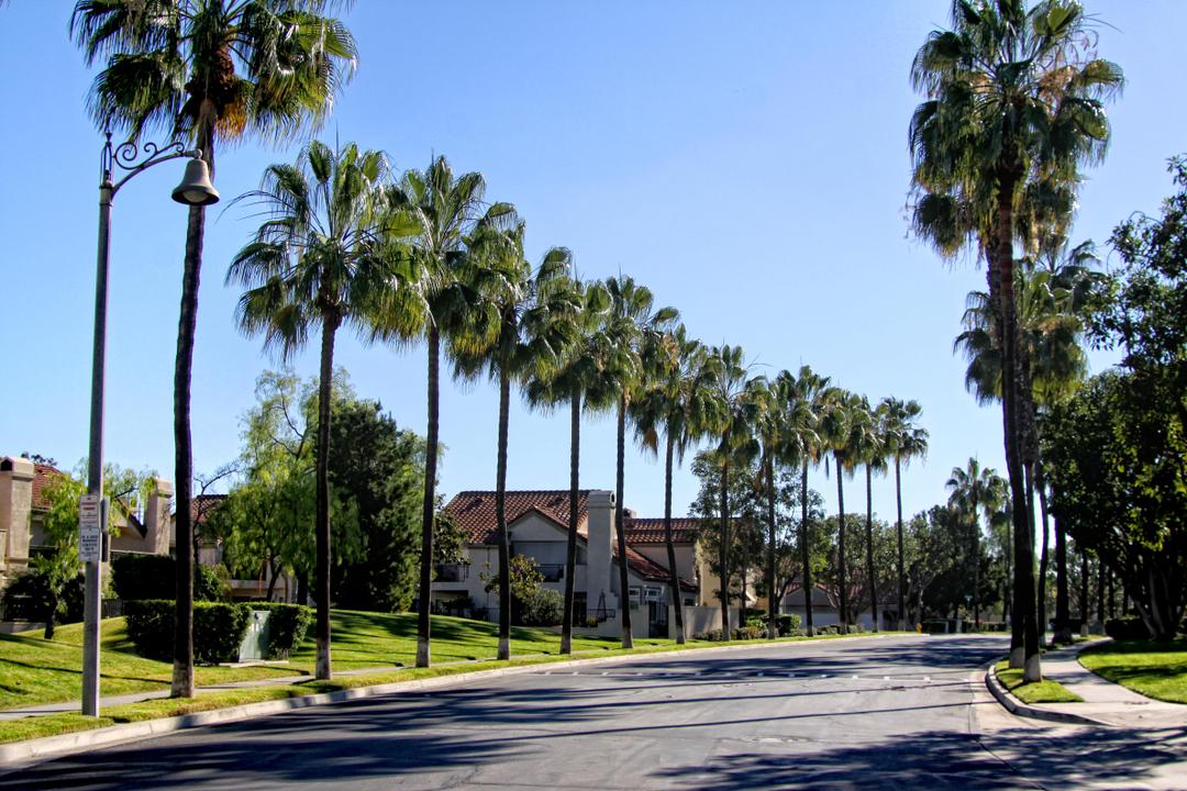 Work Image